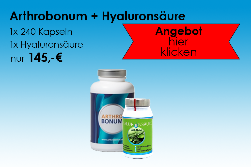 Kombipaket Arthrobonum 240er / Hyaluronsäure 120er, 245g